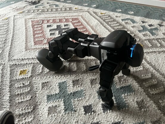 The black and grey robot hoisting itself off the ground to stand up. It’s … sort of doing a backwards push-up.