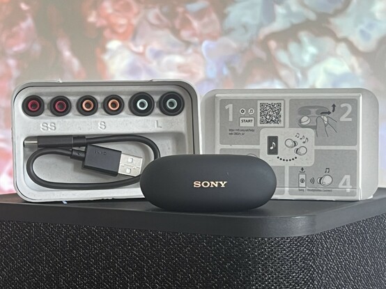 A shot of the earphone carry case, closed and lying with the top facing forward shaking the SONY logo. Behind it is the cardboard packaging with three alternative rubber tips and a very short USB Type A to C charging cable. There are also QuickStart instructions.