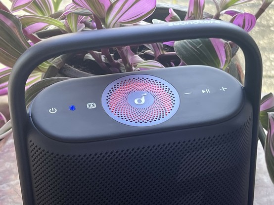 A large blue Bluetooth speaker sat in front of a pink and green leafy plant. The speaker has a grille on top, illuminated with reddish orange light. A Bluetooth button on the top is lit up in blue, alongside power, EQ, volume and play/pause buttons illuminated in white. The speaker is sleek and curvy.