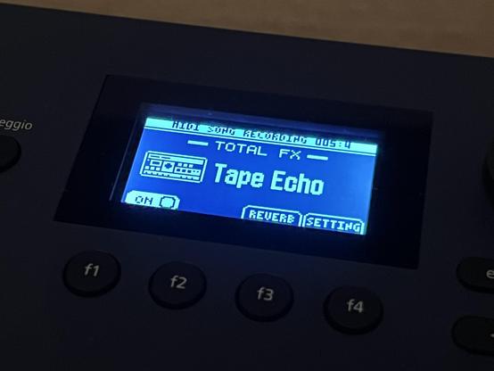 A small blueish LCD display displaying effects settings. The selected effect is called “Tape Echo.”