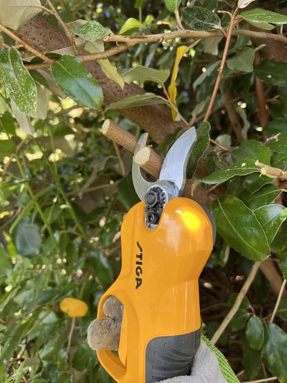 A pair of motorised electric shears posed around a cut branch, they’re branded “STIGA” and held by a gloved hand.
