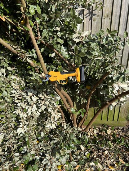 Once again a pair of electric shears clamped onto a stubborn branch.