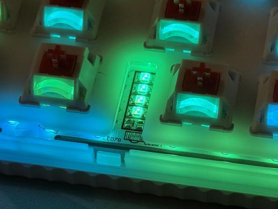 Four LEDs light up bright green, sticking up between two mechanical keyboard switches.