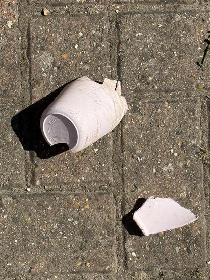 The surviving fragments of a pink plastic cup that weren’t obliterated by the vacuum shredder.