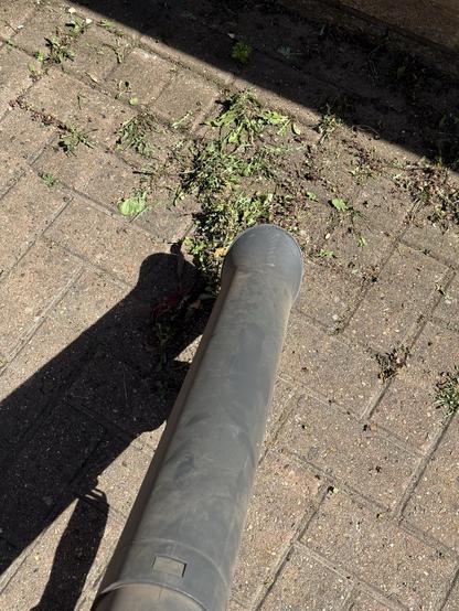 A garden vacuum shredder nozzle aimed menacingly at a pile of small uprooted patio weeds.