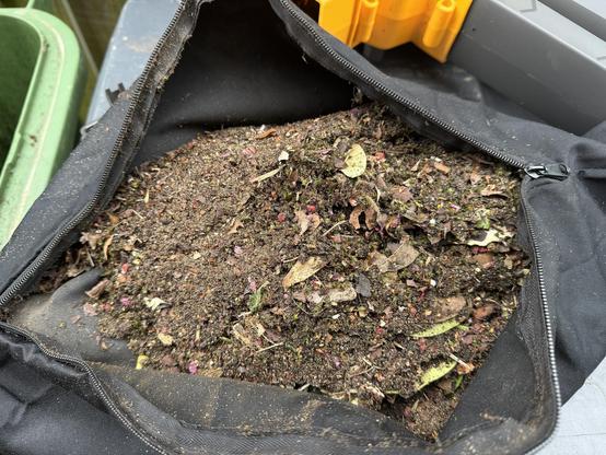 An opened zip up vacuum collection bag stuffed with soil and shredded leaves.